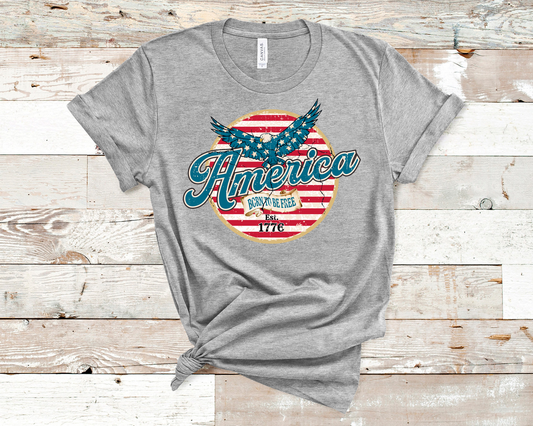 America 1776 retro circle DTF