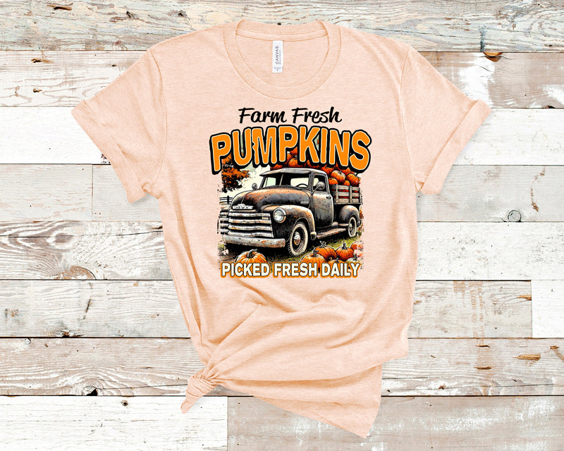 Farm fresh pumpkins orange